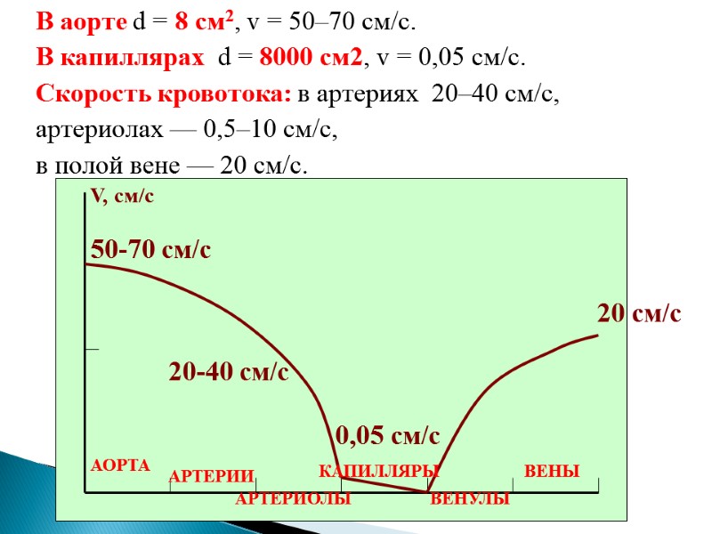 В аорте d = 8 см2, v = 50–70 см/с.  В капиллярах 